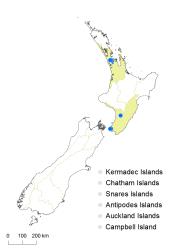 Asplenium ×lucrosum distribution map based on databased records at AK, CHR, OTA & WELT.
 Image: K. Boardman © Landcare Research 2017 CC BY 3.0 NZ